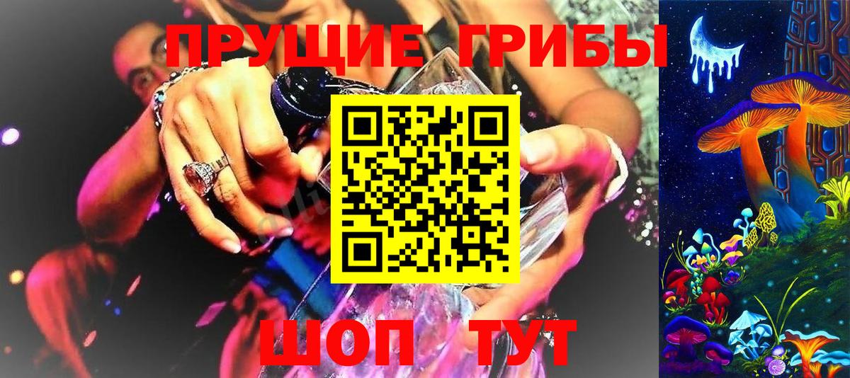 Галлюциногенные грибы Psilocybe Белгород